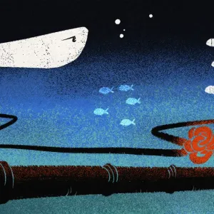 Câbles endommagés dans la mer Baltique : quels impacts sur Internet ?