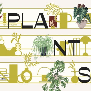 How Many Plants - Indoor and House Plant Resource