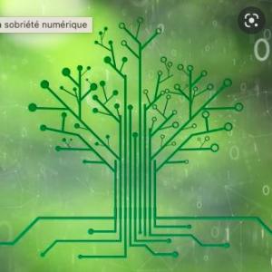 Éducation au développement durable : les élèves sensibilisés à la sobriété numérique et les ingénieur.e.s à l’écoconception