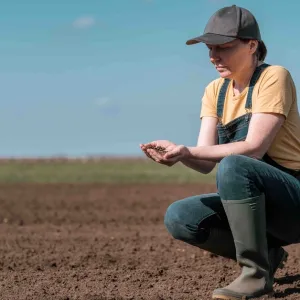 Sauver les sols : la solution à (presque) tous nos problèmes ?
