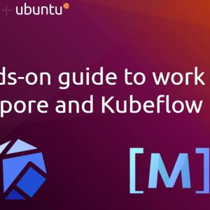 A hands-on guide to work with MindSpore on Kubeflow