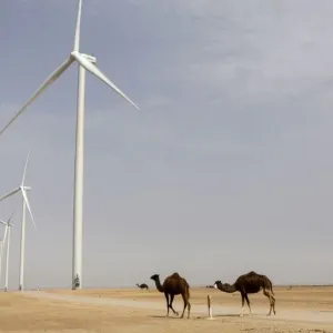 Sahara occidental : le Conseil de sécurité de l'ONU soutient le plan d'autonomie marocain