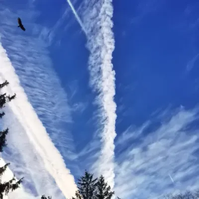 L’IA de Google testée pour éviter les traînées de condensation derrière les avions