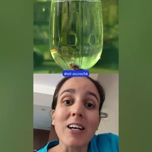 À tester au prochain apéro