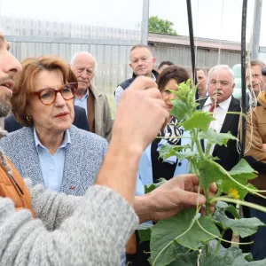 "On attend les actes" : la filière bio du Grand Est prudente après la visite de la ministre de l'Agriculture en Moselle