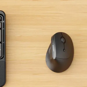 Test Seenda MOU200 : la souris PC verticale qui offre (enfin) la qualité premium à prix cassé