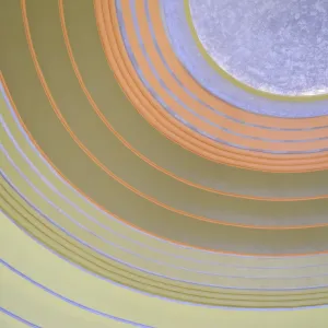 The Commons Strategies Group