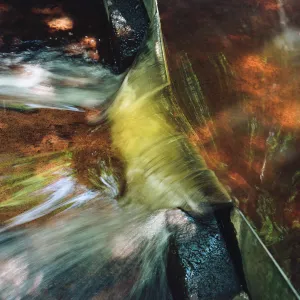 La bactérie et la goutte de pluie : une autre histoire des cycles de l'eau