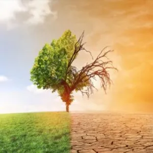 ACCUEIL - Allocation Climat