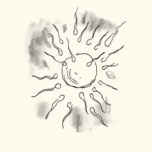 Ça vaaaaa, c’est Gérald !