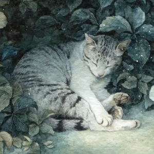 Anaïs Faë | Illustration