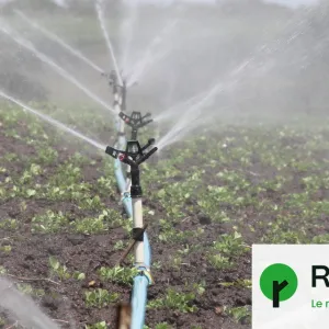 132 litres d'eau pour une tasse de café : « Nos besoins sont excessifs »