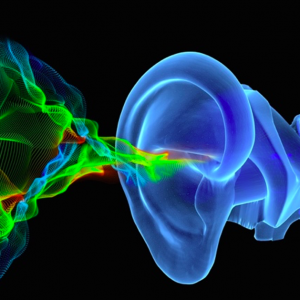 Hearing loss: stepping up research