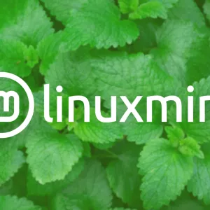 LMDE 6 (Linux Mint Debian Edition) Beta is Available to Download