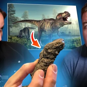 On vient de trouver comment les dinosaures ont dominé le monde (💩💩💩 !) : ACTUS février 2025