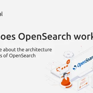 How does OpenSearch work?
