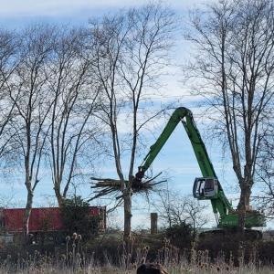 A69 : Les premiers arbres du chantier de l'autoroute Toulouse-Castres abattus