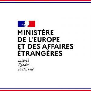 Régulation des grandes plateformes numériques : la France se félicite du vote du Parlement européen sur le Digital Services Act (20.01.2022)