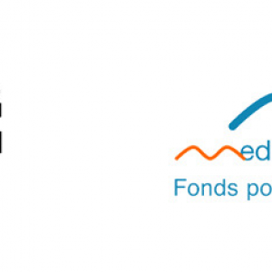 CYBERVIOLENCE ET CYBERHARCÈLEMENT : LE VÉCU DES VICTIMES