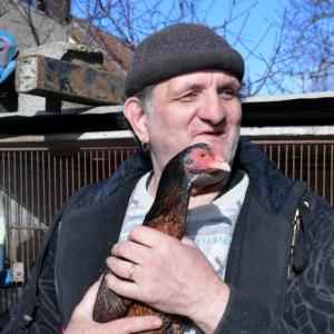 Strasbourg. La petite ferme de la Charmille, un paradis animal, un enfer pour les voisins