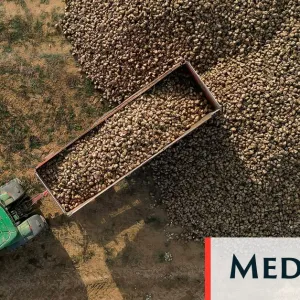 Les betteraviers en première ligne pour défendre la loi Duplomb