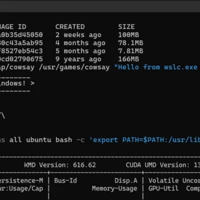 « Faire de Windows le meilleur environnement pour Linux » : Microsoft officialise les conteneurs WSL sans passer par Docker