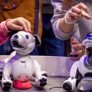 AI robot pets can be adorable and emotionally responsive. They also raise questions about attachment and mental health
