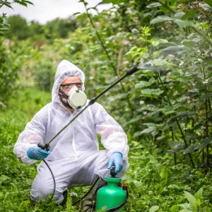 Agriculture biologique : pourquoi certains font marche arrière