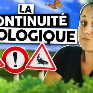 Les chemins du vivant | Marie Wild | Le Vortex #47