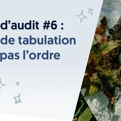 Brèves d’audit #6 : l’ordre de tabulation ne suit pas l’ordre visuel