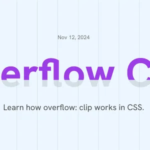 Overflow Clip