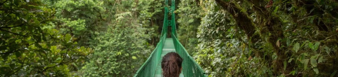 Why Your Brain Needs More Downtime