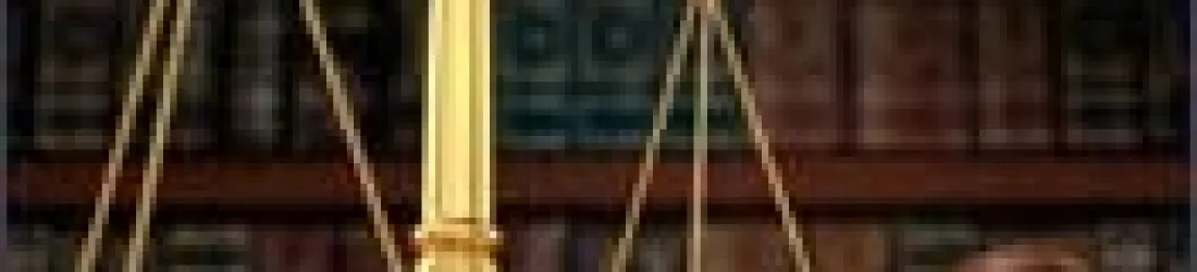 L'IA devant le juge, ou les erreurs automatisées