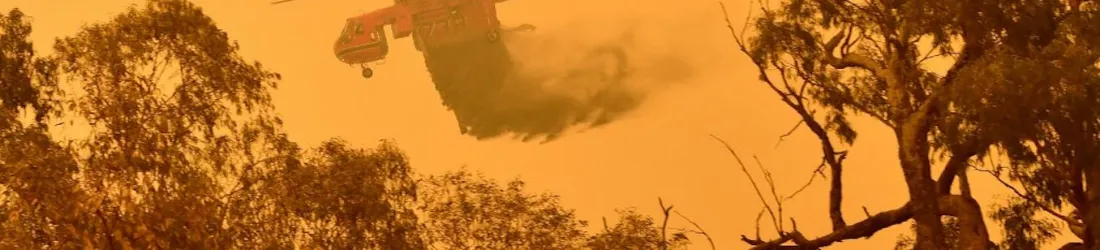 Feux et sécheresses : quand les savoirs indigènes offrent des solutions concrètes