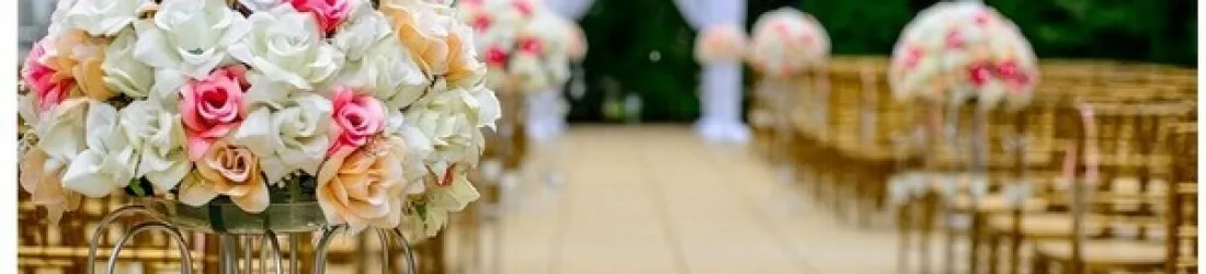 Le mariage de Damien et Amandine à Millas
