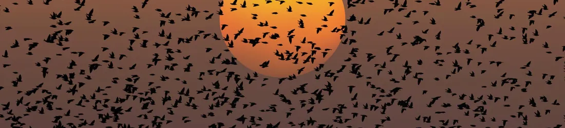 Live regions ARIA : bonnes et mauvaises pratiques – Access42