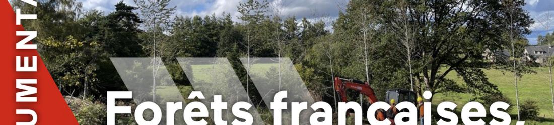 Forêts françaises, en quête d'avenir
