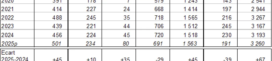 Morta­lité cyclistes, chiffres 2025