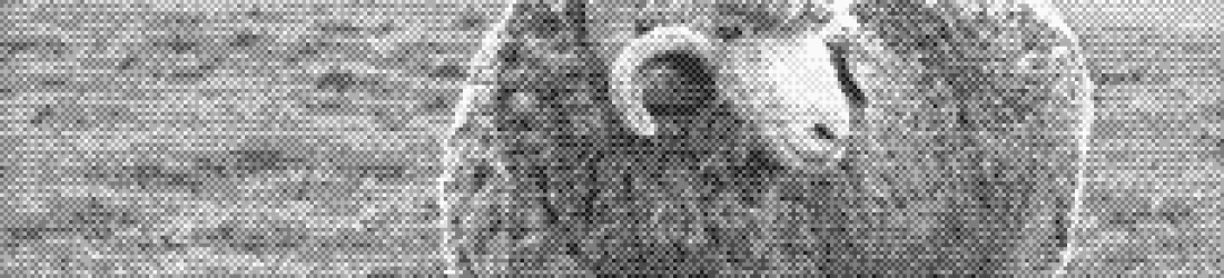 Isolation: d’abord le corps puis la maison