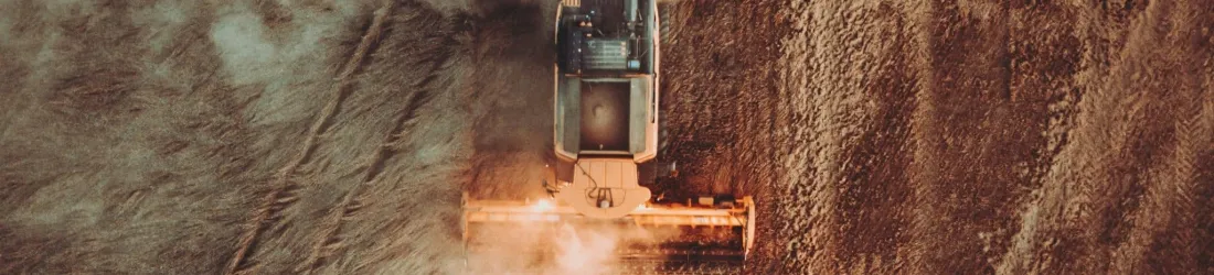 Face au pétromasculinisme, une paysannerie écoféministe