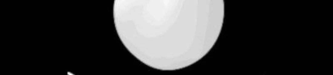 The Prime Reasons to Avoid Amazon — The New Oil