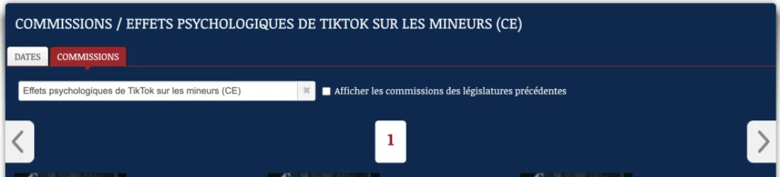 Les effets de Tiktok sur les mineurs. Retour sur mon audition à l'assemblée nationale.