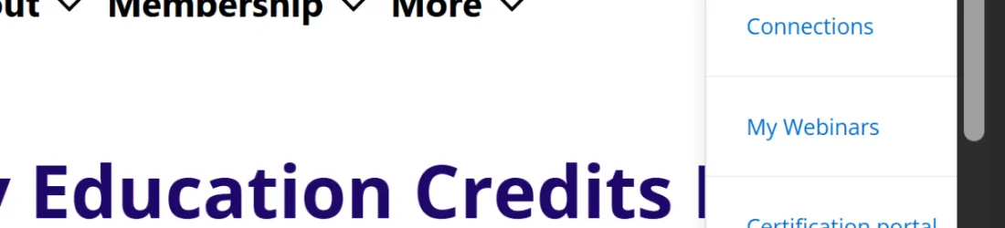 Was my IAAP Certification worth it? - Nic Chan