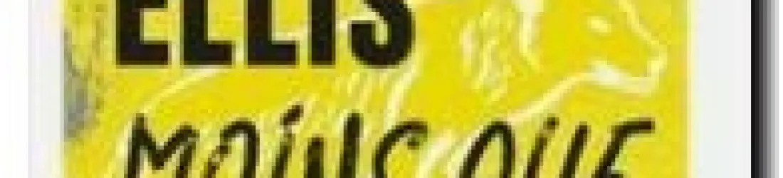 Suite de la lecture de : Moins que zéro, de Bret Easton Ellis