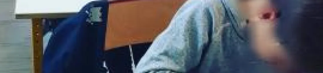 Dictée Coopérative - Maitresse Freinette