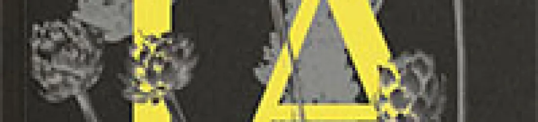 L'intelligence, vraiment ?