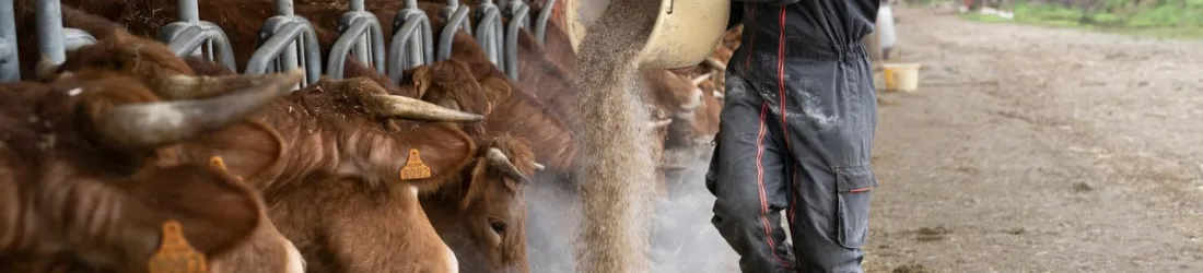 L’égalité des droits, conquête inachevée des agricultrices : « Je ne veux pas avoir de comptes à rendre, ni à un mari ni à un patron »
