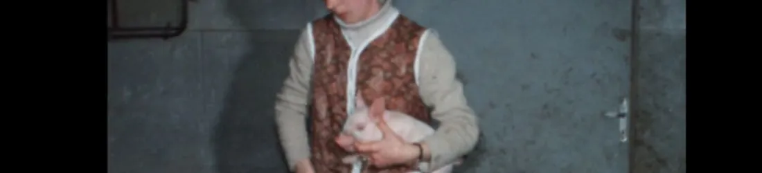 Le rôle méconnu des femmes dans l'essor des porcheries en 1966