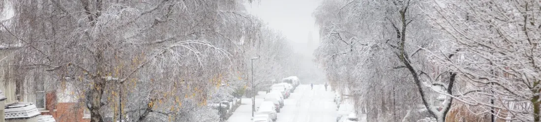AMOC current ‘collapse’ could trigger ‘profound cooling’ in northern Europe