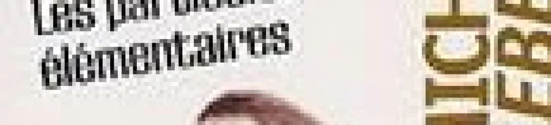 Avis sur : Les particules élémentaires de Houellebecq